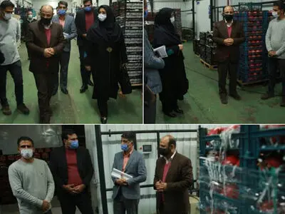 بازدید معاون امور تعاون از شرکت تعاونی کشت و صنعت