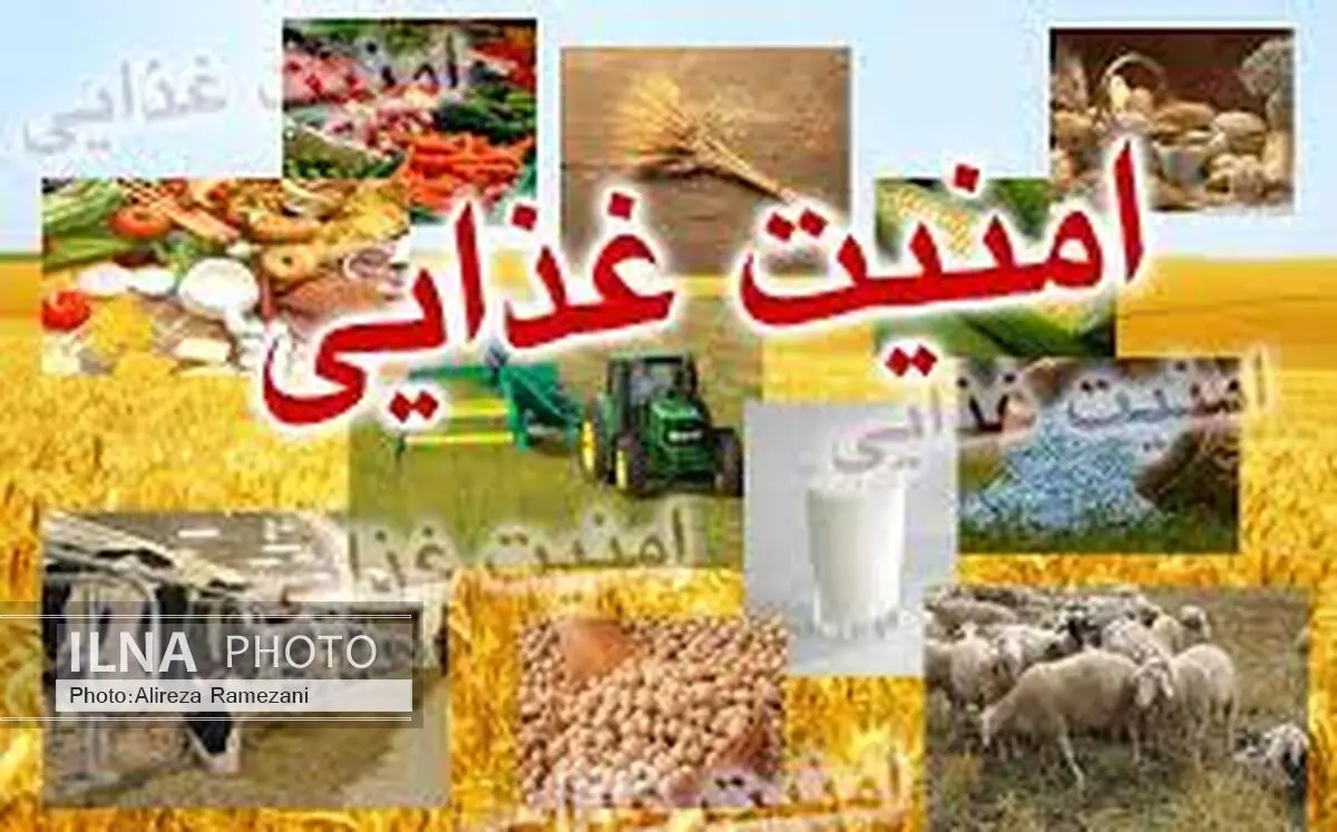 اعلام دستاوردهای طرح تحول نظام سلامت در حوزه امنیت غذایی 