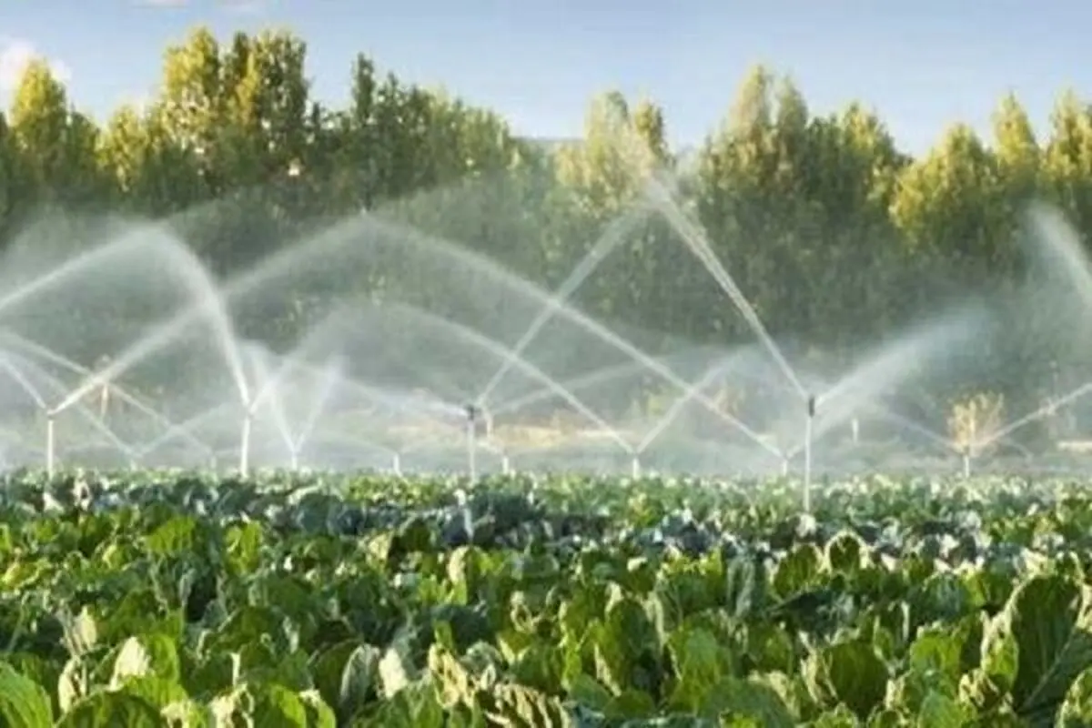 اختصاص 6000 میلیارد ریال اعتبار ملی به استان مرکزی برای بهره‌وری منابع آبی