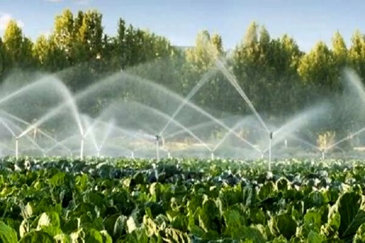 اختصاص 6000 میلیارد ریال اعتبار ملی به استان مرکزی برای بهرهوری منابع آبی