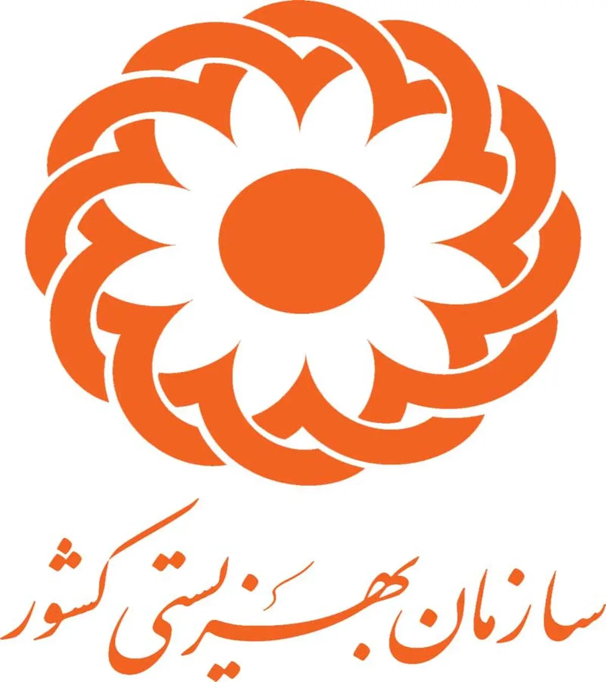 ۳۰ درصد معابر کشور برای معلولان مناسب سازی شده است