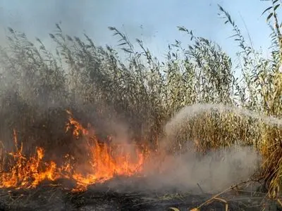  تالاب انزلی همچنان در آتش می سوزد و احتمال افزایش وسعت حریق به ۱۰ هکتار وجود دارد