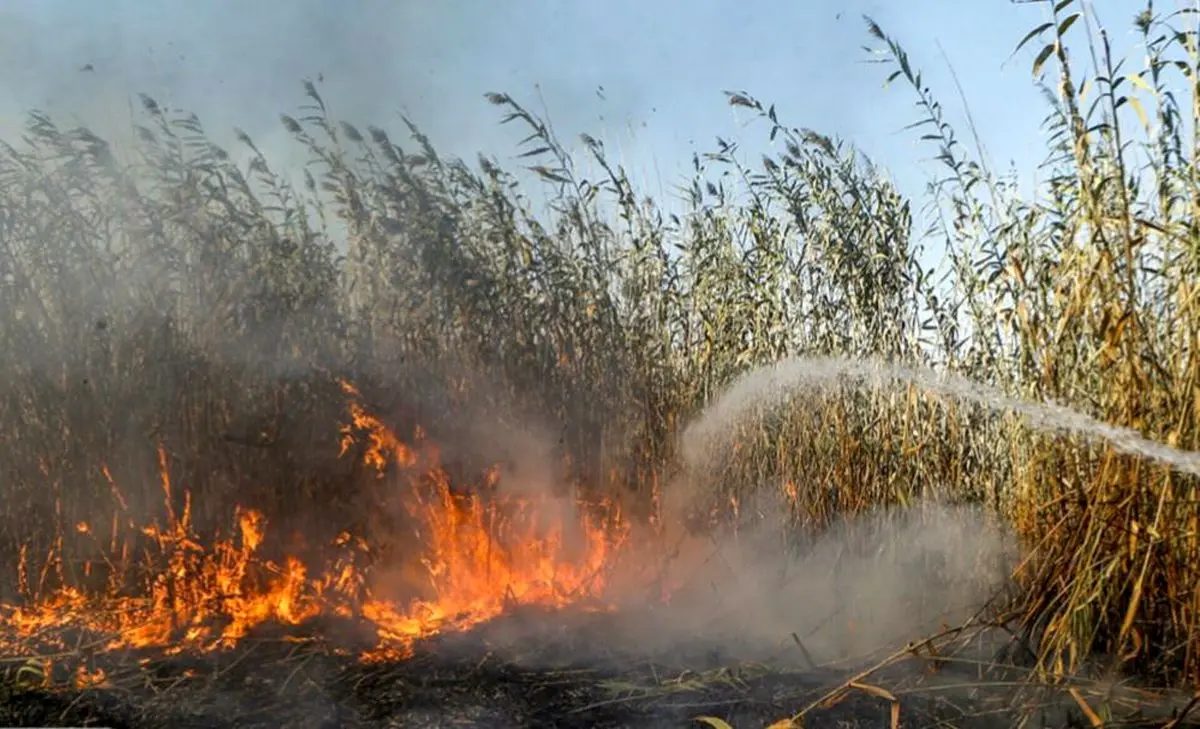  تالاب انزلی همچنان در آتش می سوزد و احتمال افزایش وسعت حریق به ۱۰ هکتار وجود دارد