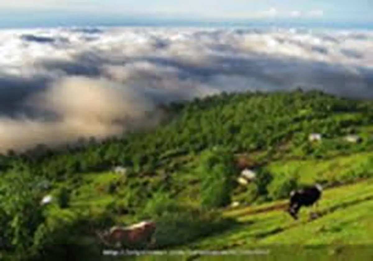 آسمان مازندران خنک و ابری است/فردا گرم می شود