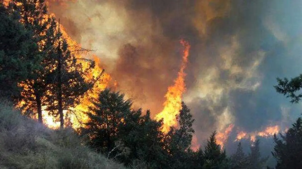 آتش‌سوزی گسترده در "منطقه حفاظت‌شده لوه"/تا بالگرد نرسد؛ آتش مهار نمی‌شود