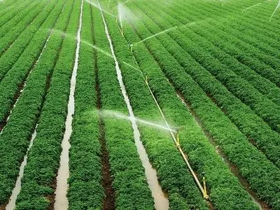 ۴۰ درصد اراضی آبی کردستان به روش‌های نوین مجهز است