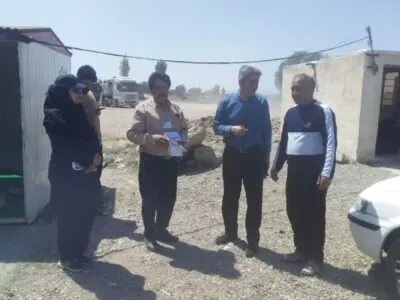 تلاش جهاد کشاورزی نمین برای تسهیل فروش گندم دیم در روستای دولت‌آباد