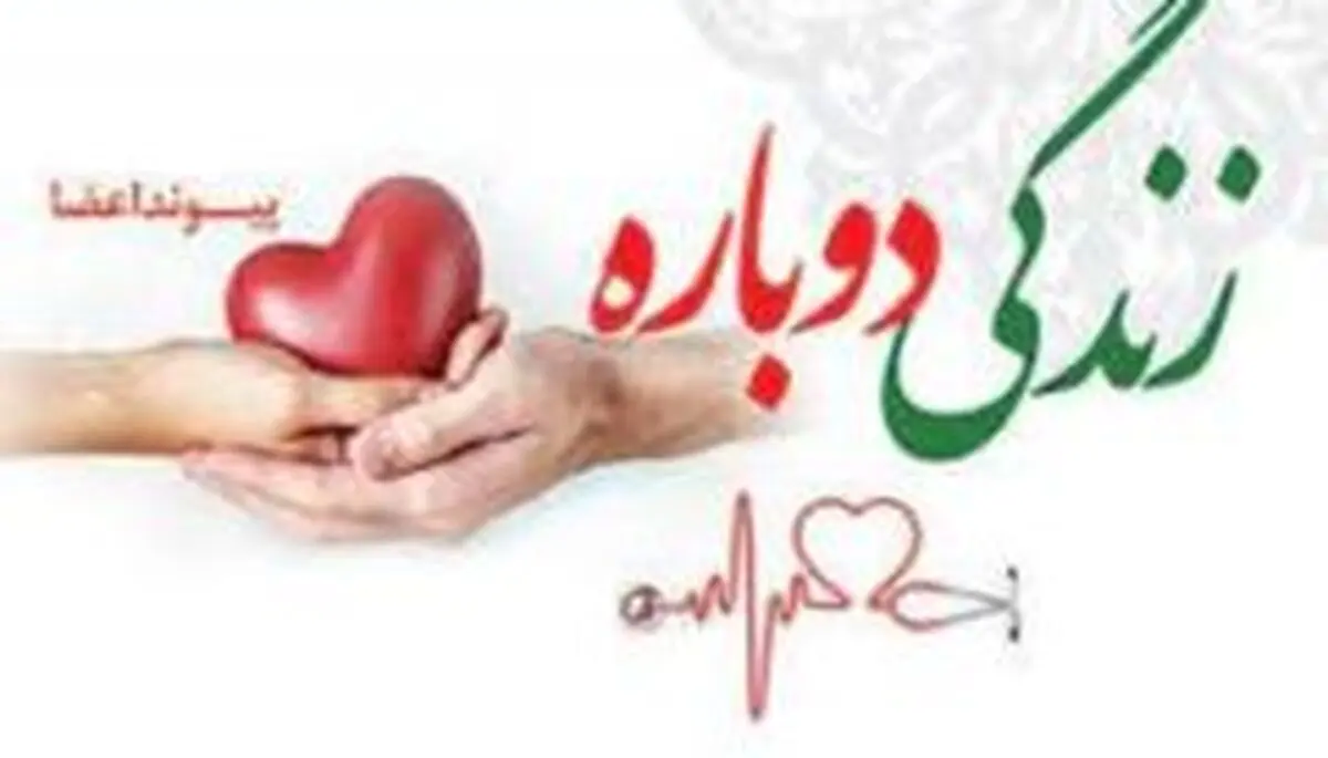 جوان ۲۴ ساله کهگیلویه و بویراحمدی جان چهار بیمار نیازمند را نجات داد