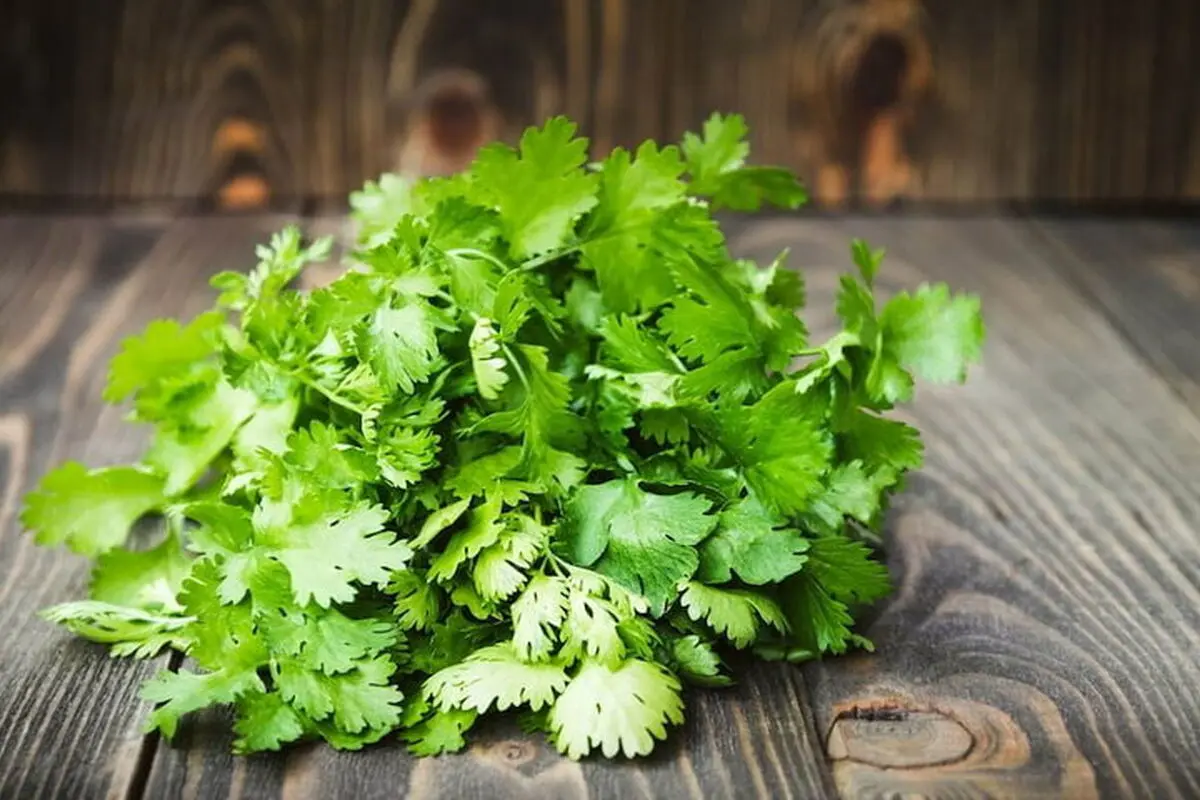 در دوران سرماخوردگی و آنفلوآنزا از این سبزی غافل نشوید
