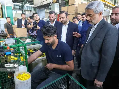 همدان در احیای واحدهای تولیدی رتبه نخست کشور را کسب کرد