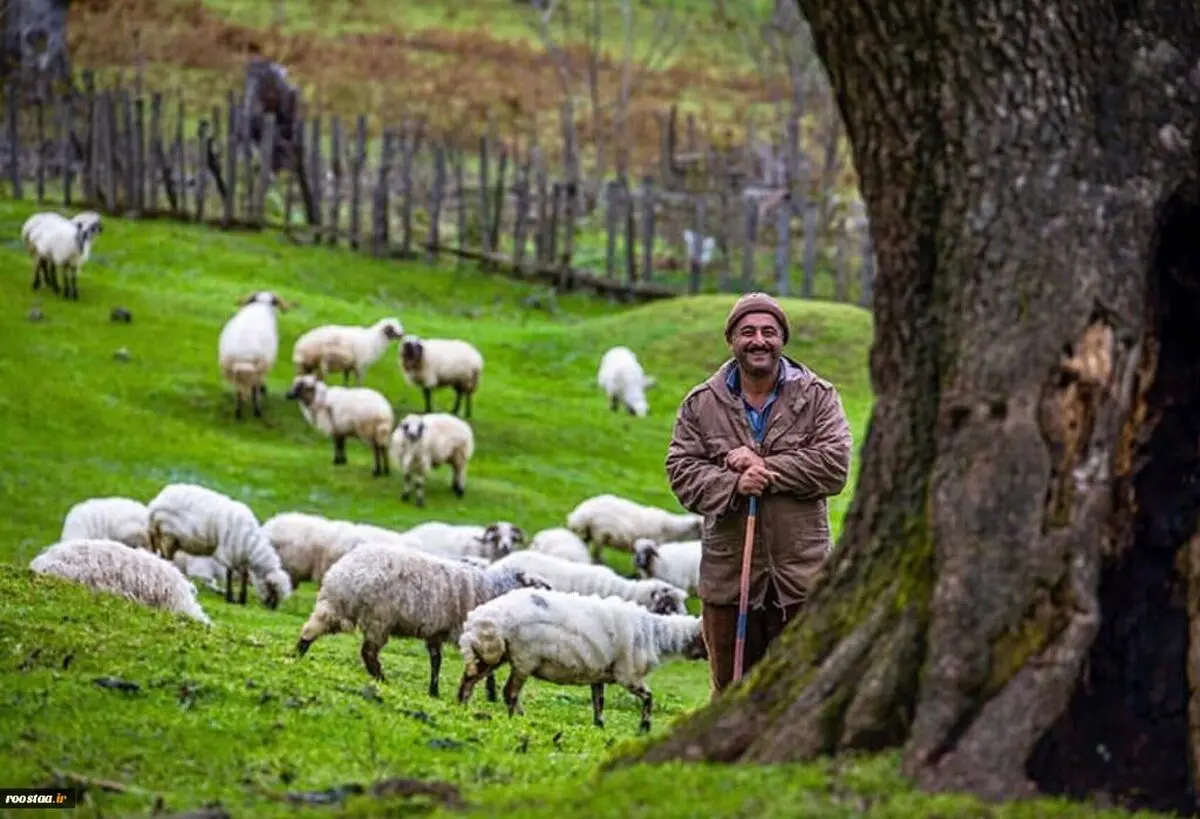 طرح همسان‌سازی مستمری، مستمری‌بگیران صندوق بیمه اجتماعی عملیاتی شد