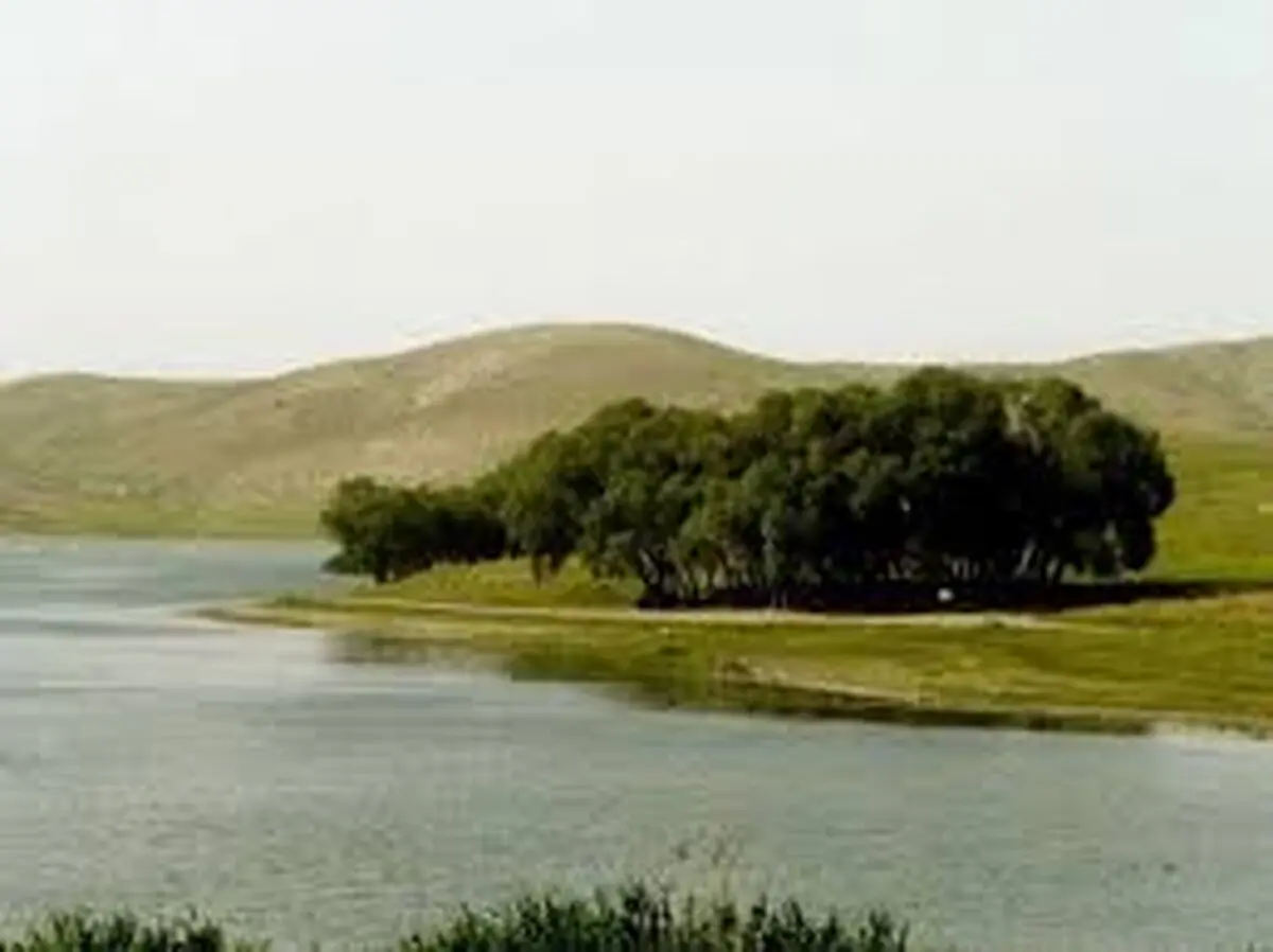 افزایش ۳۴ سانتی متری سطح آب تالاب بین المللی قوریگل