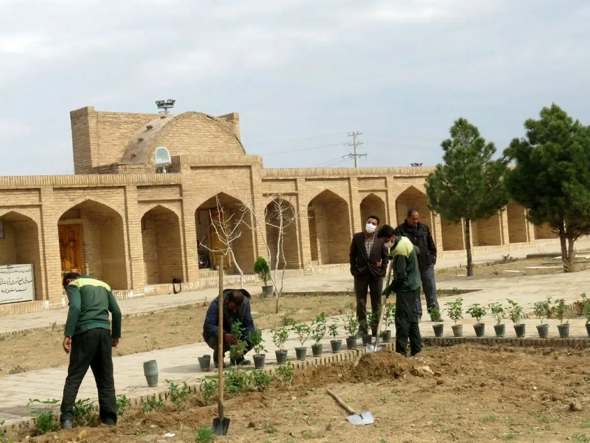 کاشت 60 هزار بوته انواع گل در شهر تایباد