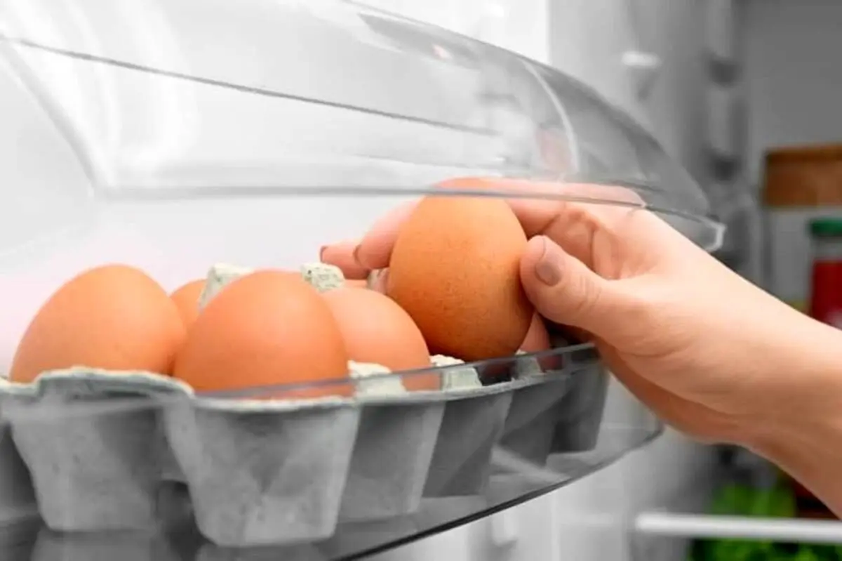 بهترین دما و محل برای نگهداری تخم مرغ