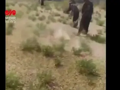 هجوم ملخ‌ها به روستای چاه‌زول شهرستان مرزی خواف در خراسان رضوی + فیلم