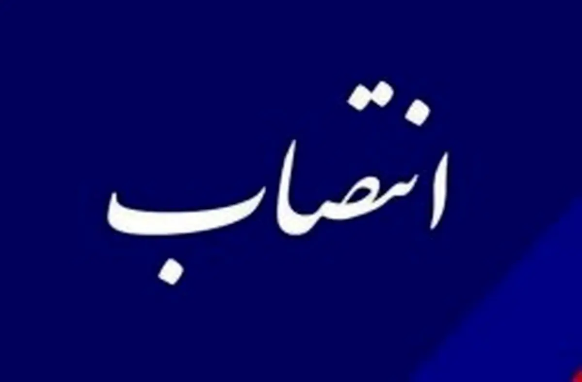 انتصاب علی نیازی به عنوان مشاور مدیرعامل در امور سرمایه گذاری های نوآورانه