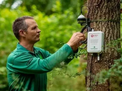 وقتی جنگل‌ها با هم چت می‌کنند! افشای چت‌روم‌های مخفی درختان زیر پای شما!