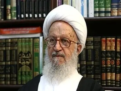 راهپیمایی زائرین امام حسین(ع) بی‌نظیر است