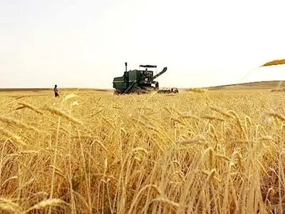 انبار بورسی نیاز اولیه گندم برای ورود به بورس کالا است/ قیمت تضمینی هزینه‌های دولت را کاهش می‌دهد