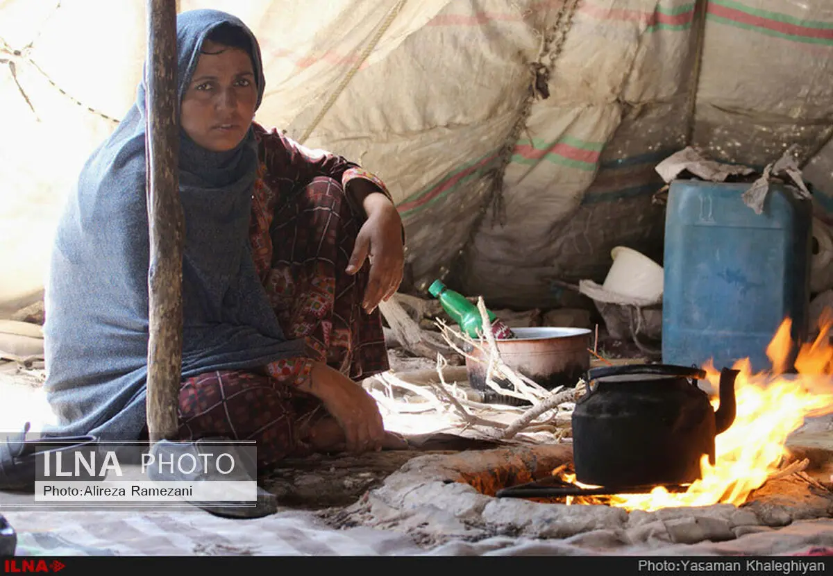 در حوزه بهداشت و درمان عشایر،  موفقیت چندانی حاصل نشده است 