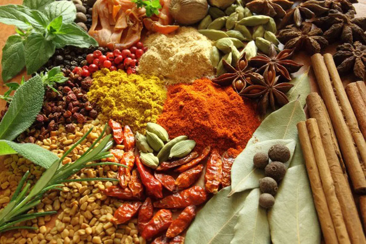 استاندارد سازی 10 گونه گیاهان دارویی در دستور کار قرار گرفت