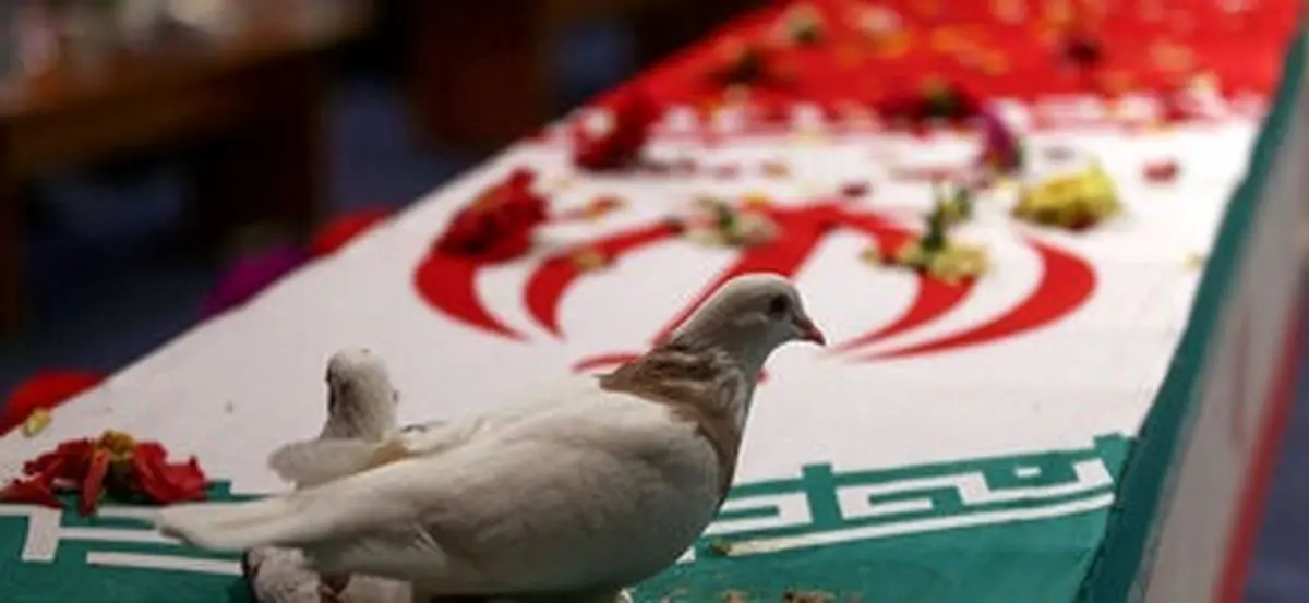 شهادت مأمور یگان ویژه استان بوشهر 