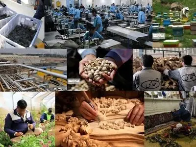 اشتغال ۲۶۰۰ زندانی در کارگاه های تولیدی فعال استان مازندران/ دو هزار و ۴۴۰ خانواده زندانی مازندران تحت پوشش انجمن حمایت از خانواده زندانیان هستند