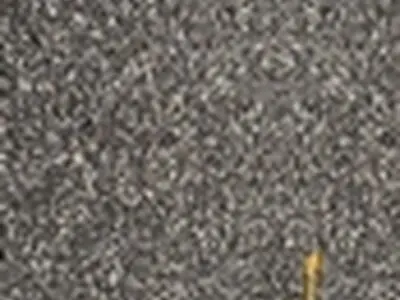همنواز کیهان کلهر؛ آلبوم راهه را منتشر کرد
