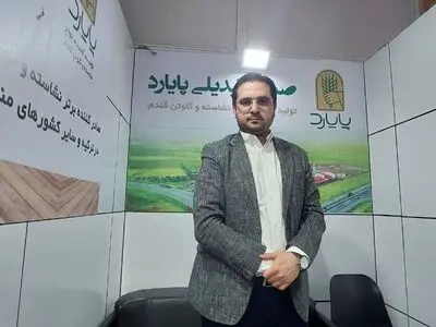 چالش تامین گندم باکیفیت/ دولت در سیاست‌هایش تجدید نظر کند