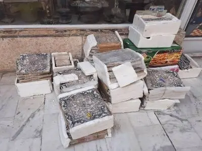 کشف و ضبط ۱۰۵ کاشی قاجاری در خیابان منوچهری تهران