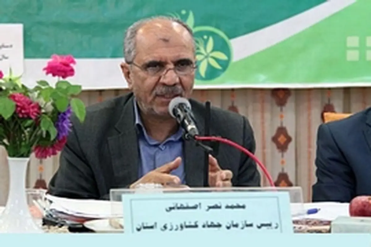 امسال تولید گندم در اصفهان افزایش می‌یابد / توسعه دامپروری یکی از راهکارهای مدیریت منابع آب در اصفهان است