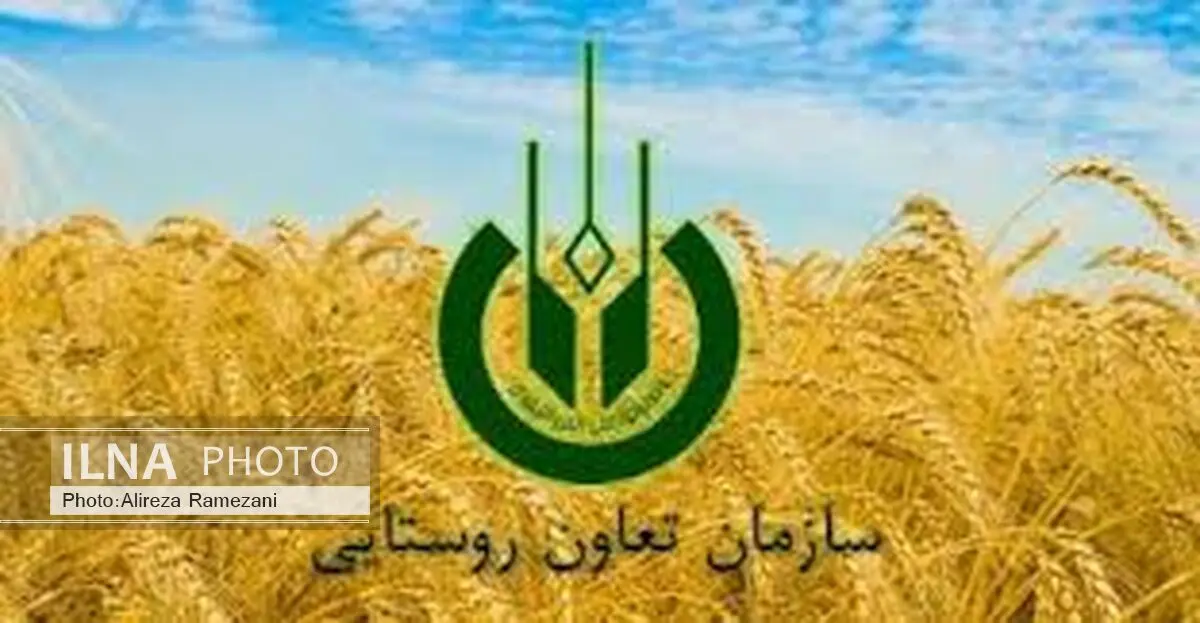 روستاییان با تشکیل تعاونی تسهیلات ارزان دریافت کنند