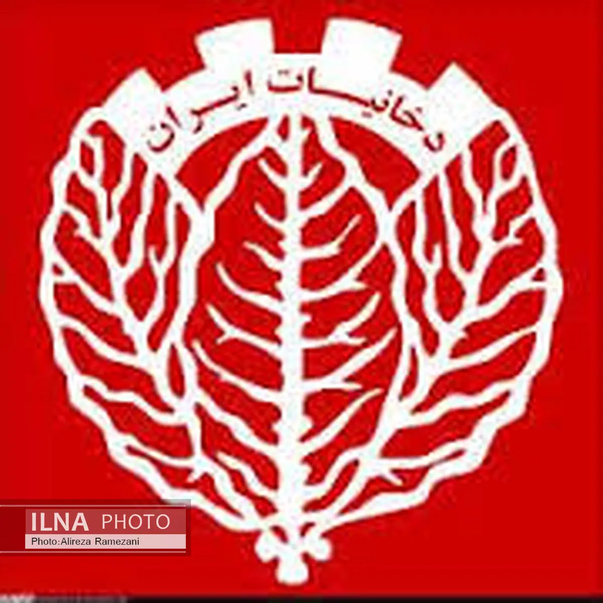 تغییر ناگهانی مدیر عامل دخانیات