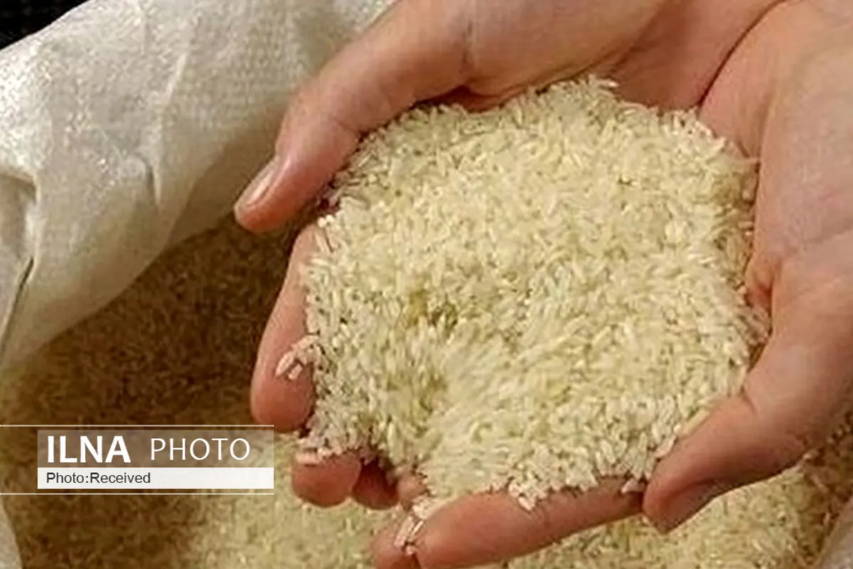 بیش از ۵ هزار تن شکر و برنج در بازار بوشهر توزیع شد