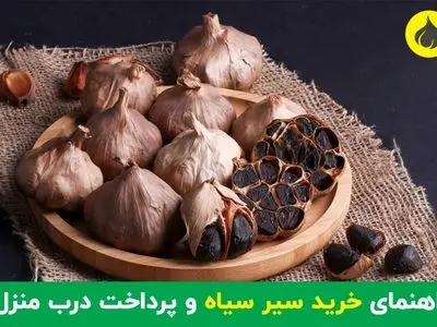 راهنمای خرید سیر سیاه و پرداخت درب منزل