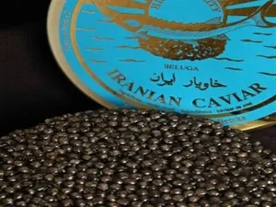 افتتاح أکبر مزرعة إنتاج الکافیار فی العالم فی إیران