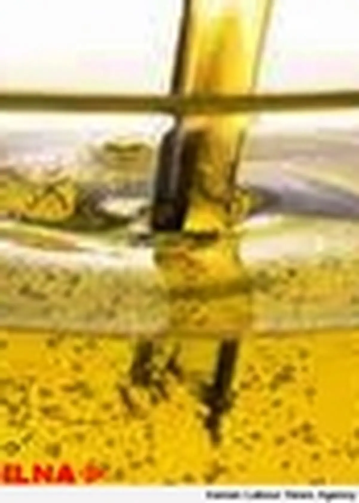 مصرف روغن پالم، موجب افزایش کلسترول خون می شود