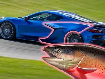 asdasd
