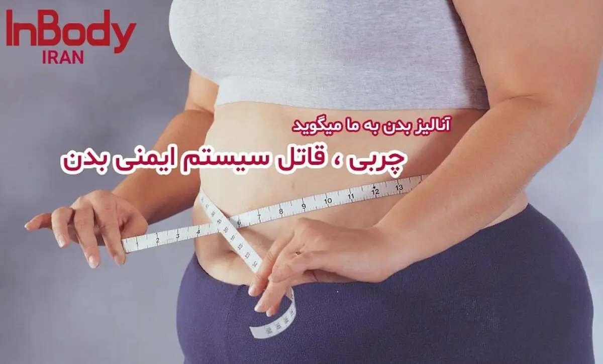 انالیز بدن به ما میگوید : چربی، قاتل سیستم ایمنی 