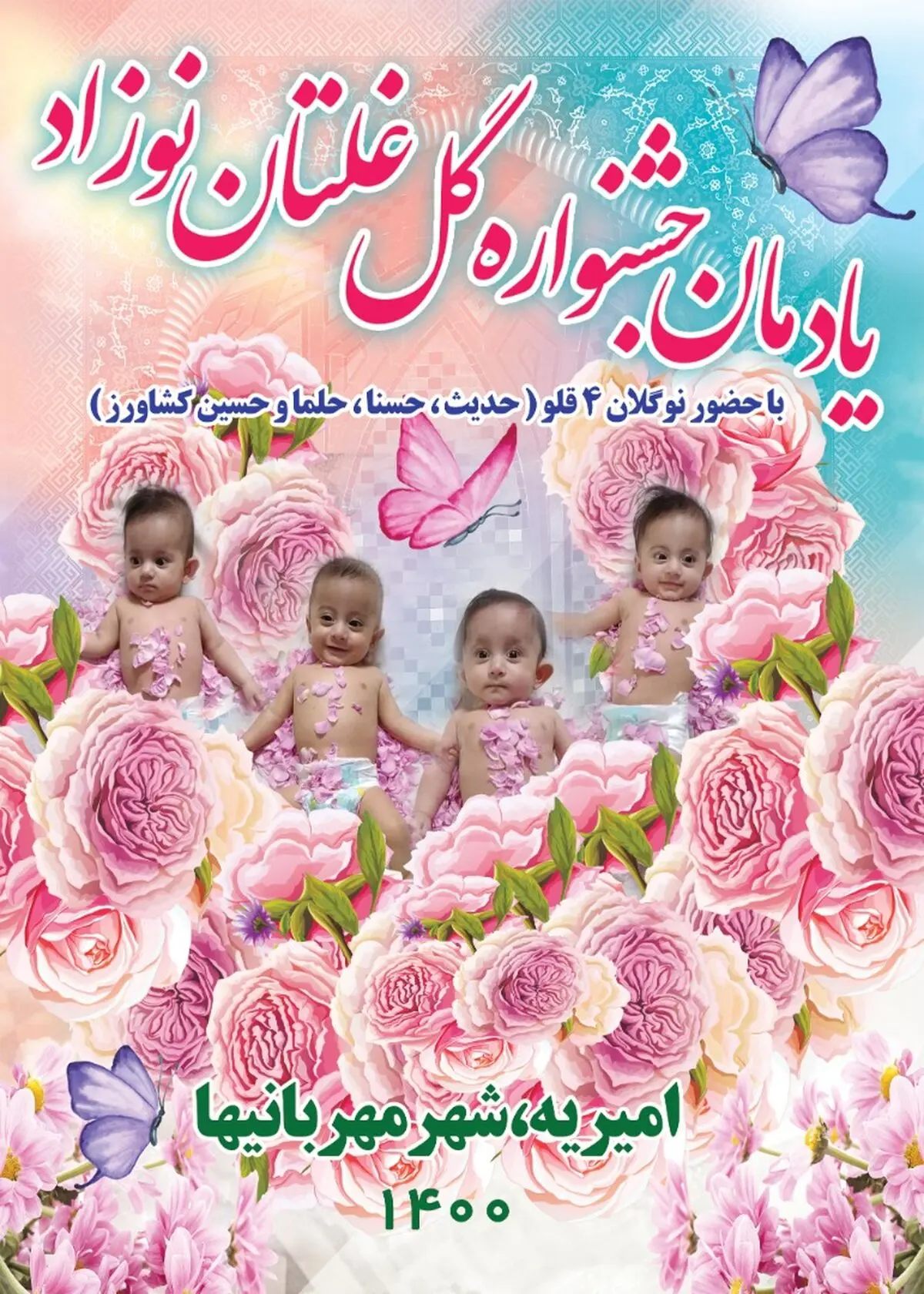 غلتاندن نوزادان 4 قلوی دامغانی در گلبرگ‌های گل‌های محمدی 