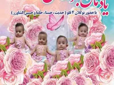 غلتاندن نوزادان 4 قلوی دامغانی در گلبرگ‌های گل‌های محمدی 