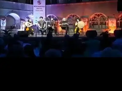 گروه موسیقی میرزا عبدالله در جشنواره کرواسی روی صحنه رفت