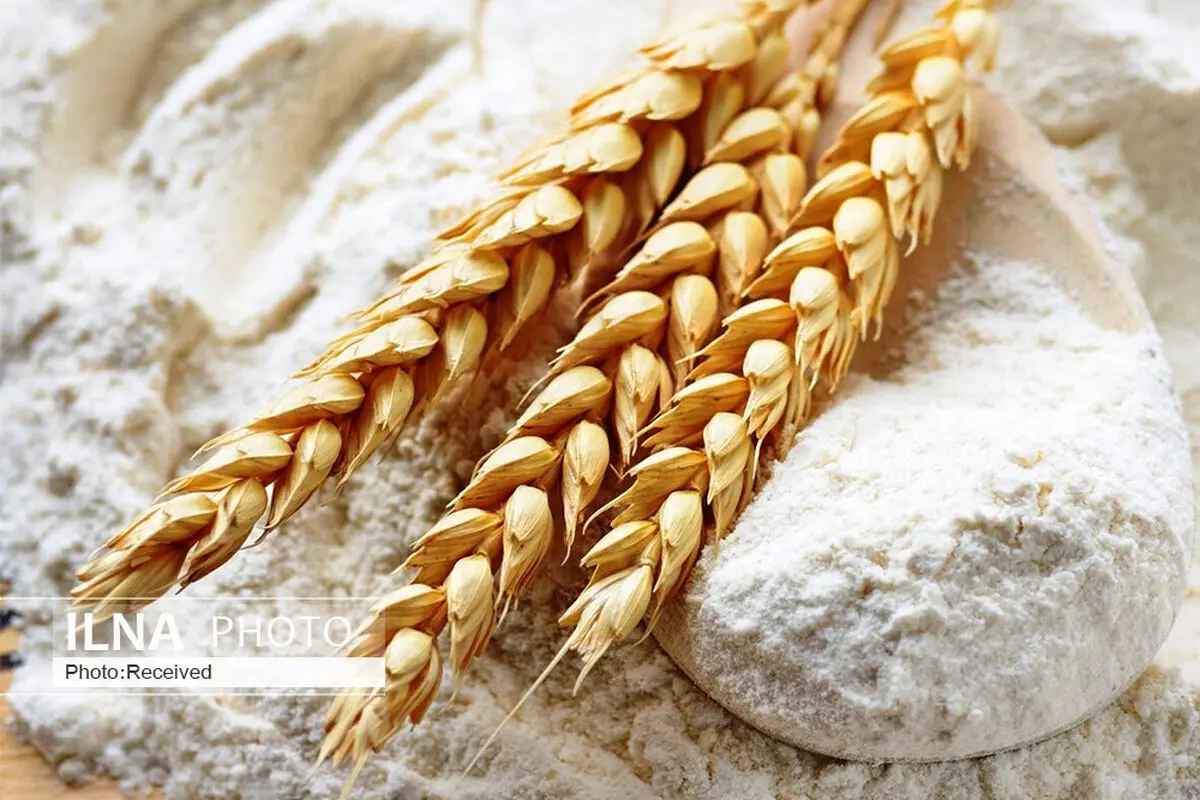  ۳۰۰ هزار تن ماکارونی با آرد دولتی صادر شد / تغییر محسوس نرخ آرد در بازار 