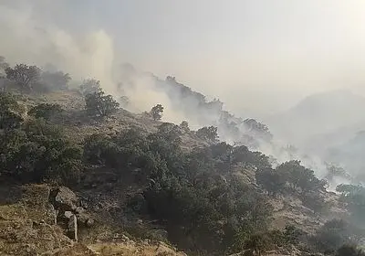 آتش سوزی کوه دیل گچساران مهار شد