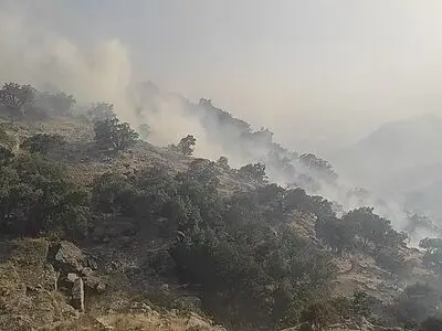 سهل انگاری گردشگران و شکارچیان از اصلی‌ترین دلایل وقوع حریق در مراتع