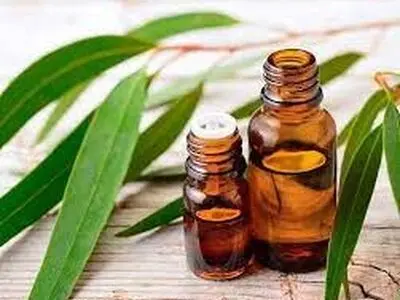 خطرات اسانس ضدسرماخوردگی برای کودکان