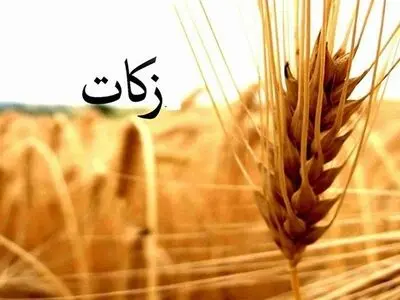 مردم ساوجبلاغ ۷۴۰ میلیون تومان زکات پرداخت کردند
