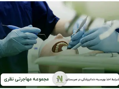 مراحل اخذ ویزای تحصیلی صربستان ، نکات طلایی برای جلوگیری از ریجکتی
