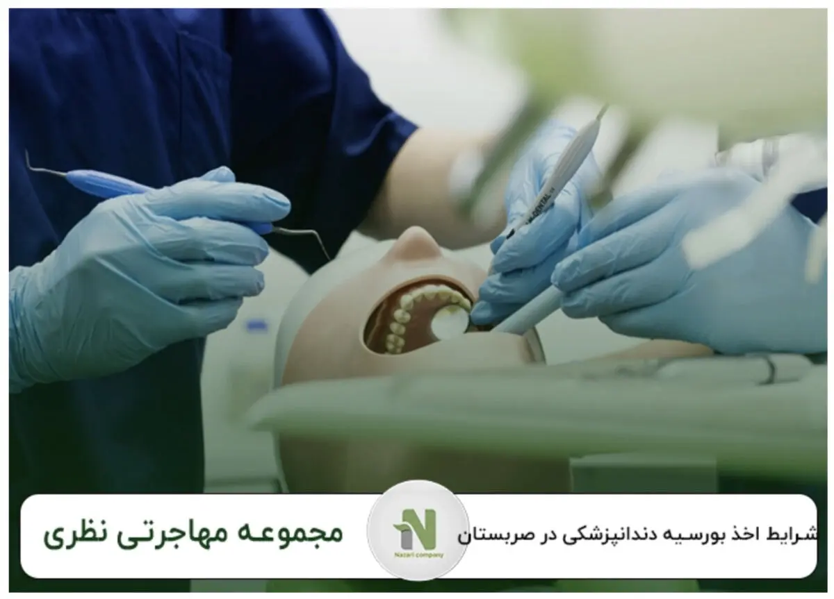 مراحل اخذ ویزای تحصیلی صربستان ، نکات طلایی برای جلوگیری از ریجکتی