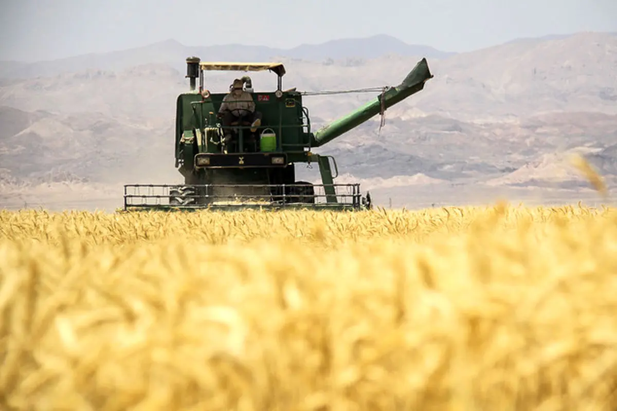 سرقت گندم کشاورزان گلستانی با مدارک جعلی